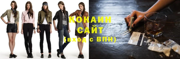 сатива Верея