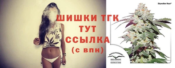 дживик Белоозёрский