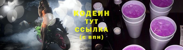 сатива Верея