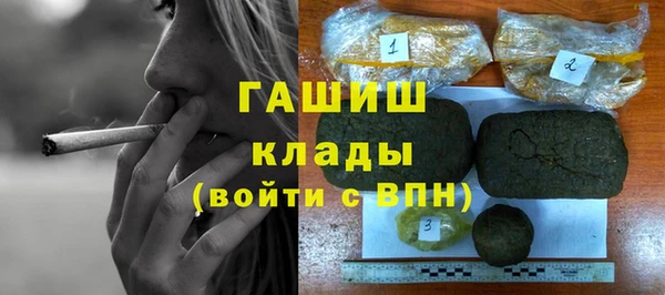 сатива Верея