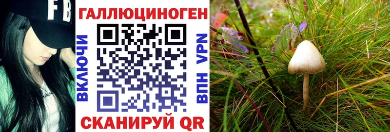 Галлюциногенные грибы Psilocybine cubensis ОМГ ОМГ мориарти как зайти купить наркотик Ворсма